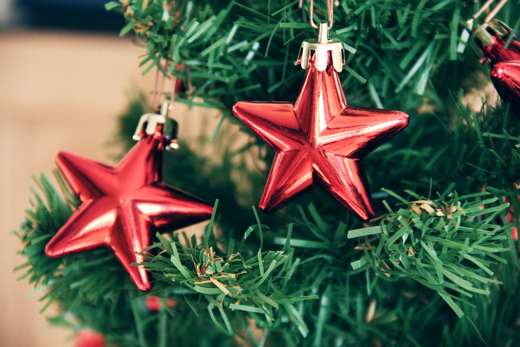Närbild av två röda julstjarnor som hänger i en julgran