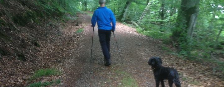 Man som går på skogsväg bort från kameran och en svart hund som tittar mot kameran